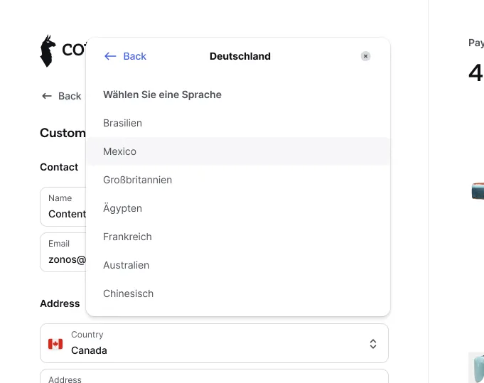 Translation in Checkout